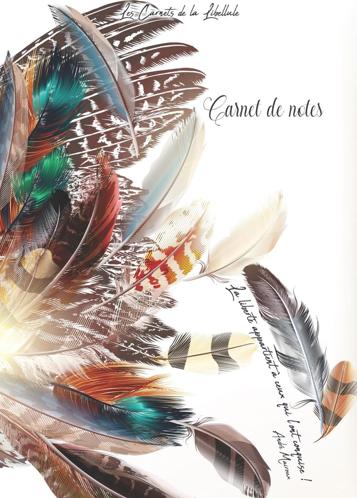 Carnet de Notes