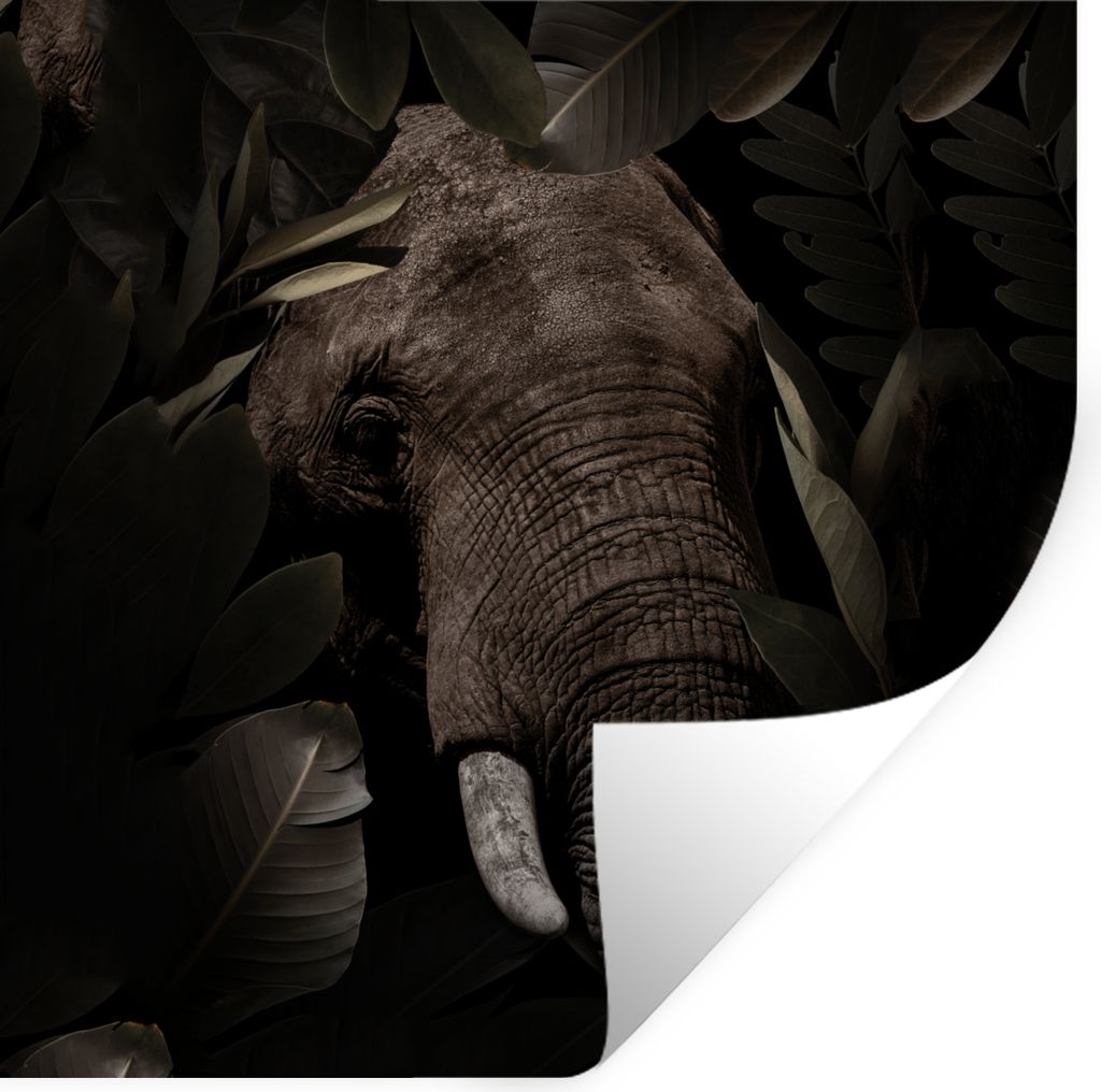 MuchoWow - Repositionierbar - Wasser abweisend