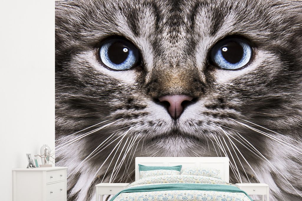MuchoWow Fototapete für Wohnzimmer oder Schlafzimmer Wandtapete Vinyl Motivtapete Katze - Blau - Grau - 265x240 cm - Zimmer für Kinder
