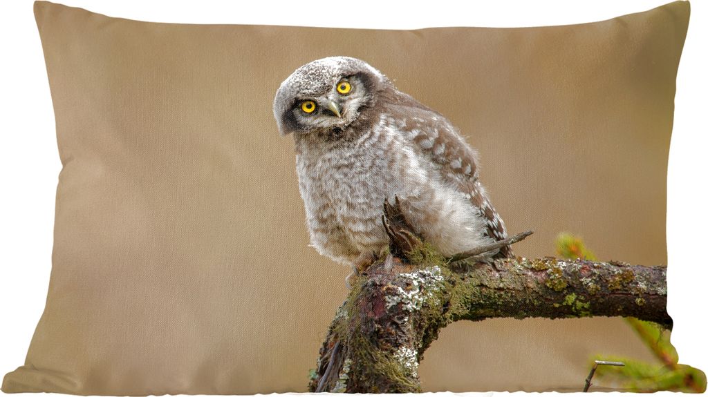 MuchoWow Zierkissen Sofakissen Wohnzimmer Dekokissen 50x30 cm Jungtiere - Sperberkauz - Zweig - Wohnzimmerdekoration - Polster mit Photo