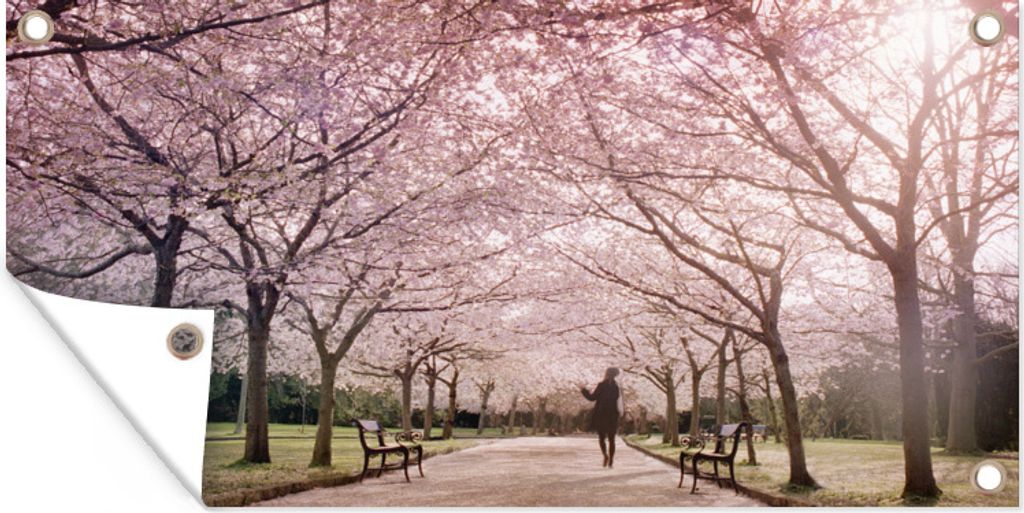 MuchoWow 60x30 cm Outdoor-Poster Gartendeko Sichtschutz Garten Poster für den Garten Sakura-Bäume an einem klaren Tag