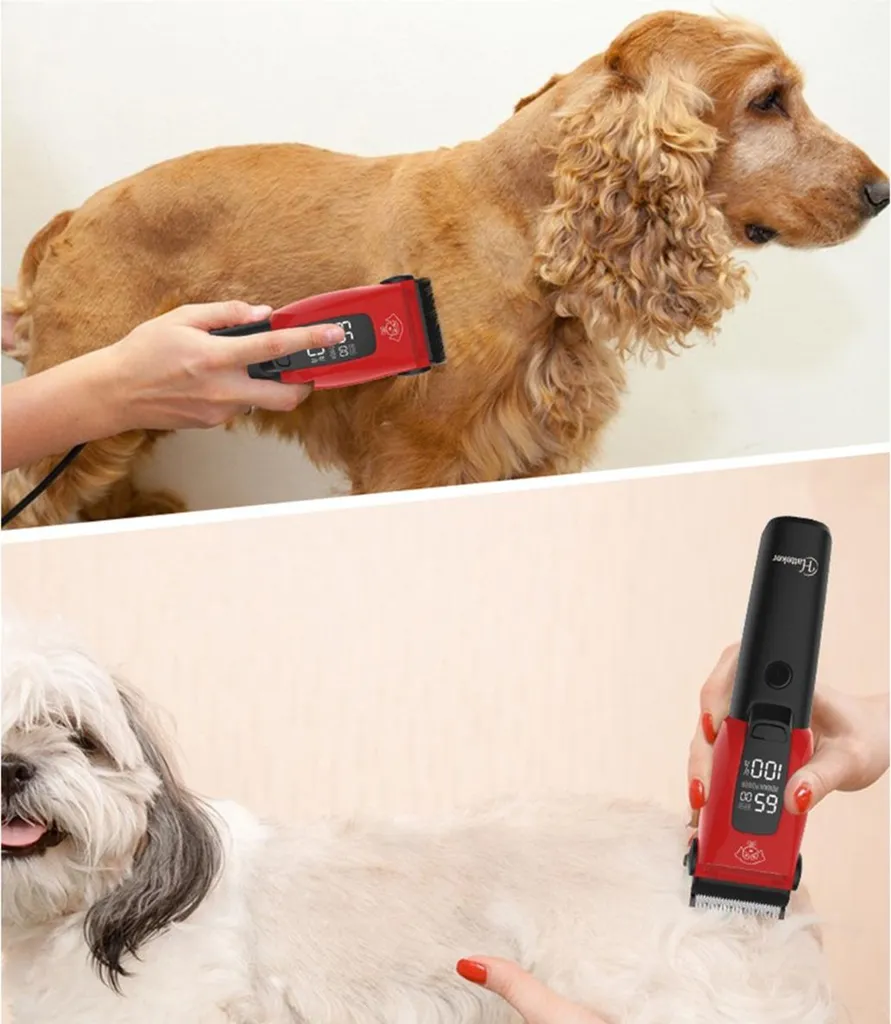 Tondeuse Animaux LED Silencieuse 3 Vitesses Haute Performance INF