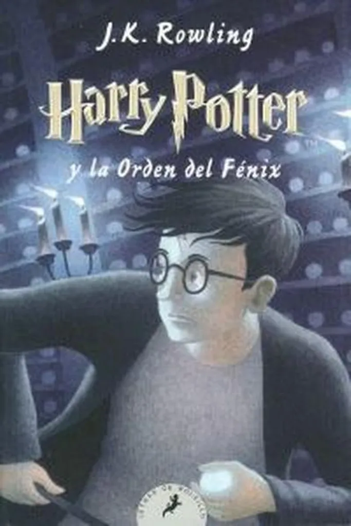 Harry Potter et l'Ordre du Phénix Tome 5 - Idée Cadeau Fan de Sorcier