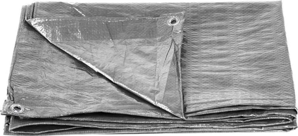 Tarpaulin Argento 4x6 m 100g/mq: Telo Protettivo con Occhielli Alluminio