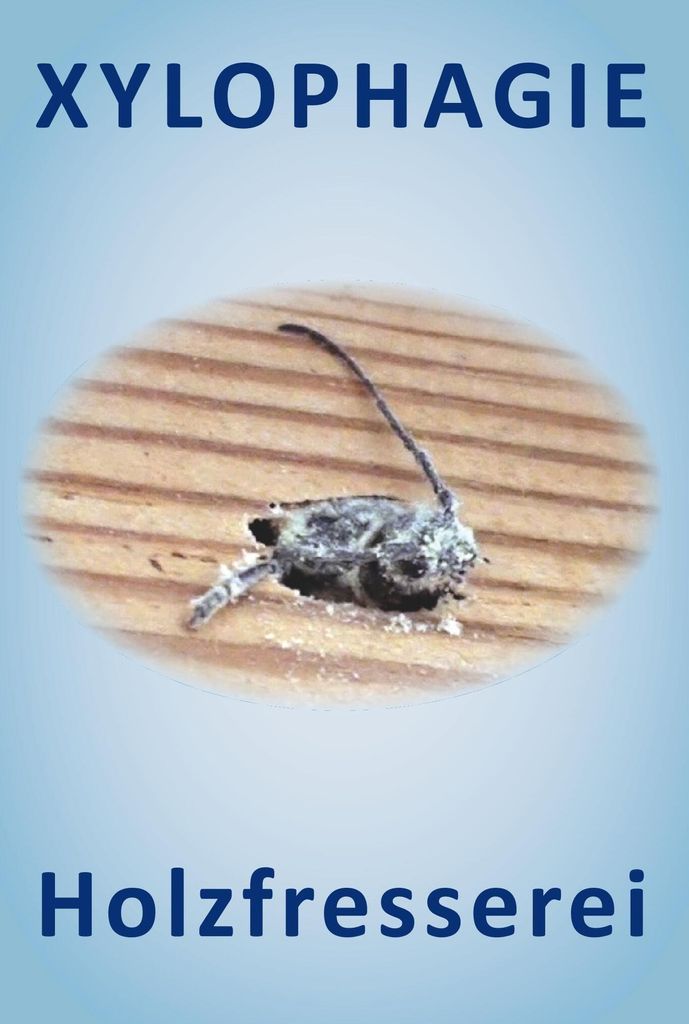 Xylophagie
