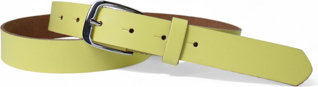 FRONHOFER Damen Ledergürtel 2,8 cm mit silber glänzenden Gürtelschnalle, echt Leder