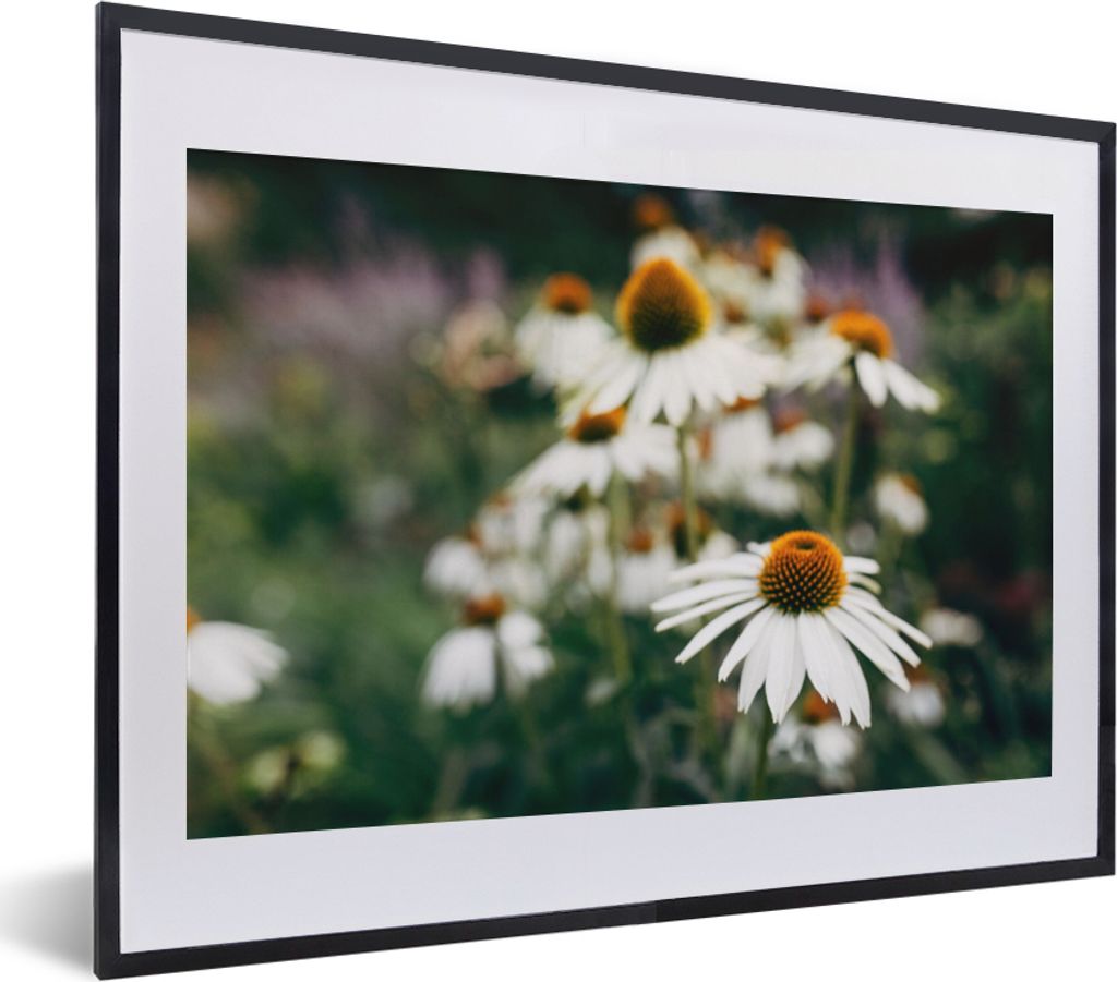 MuchoWow Gerahmtes Poster Blumen - Herbst - Botanisch 40x30 cm - Poster mit Schwarzem Bilderrahmen Wandposter Rahmen Foto Bilder - Bilderrahmen -...
