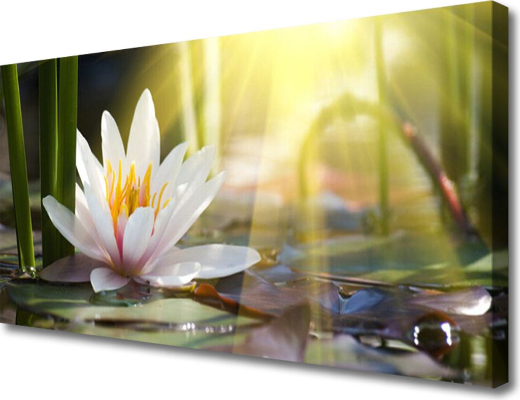 Tulup Leinwand-Bilder 100x50 Wandbild Canvas Kunstdruck Blumen Wasser Pflanzen