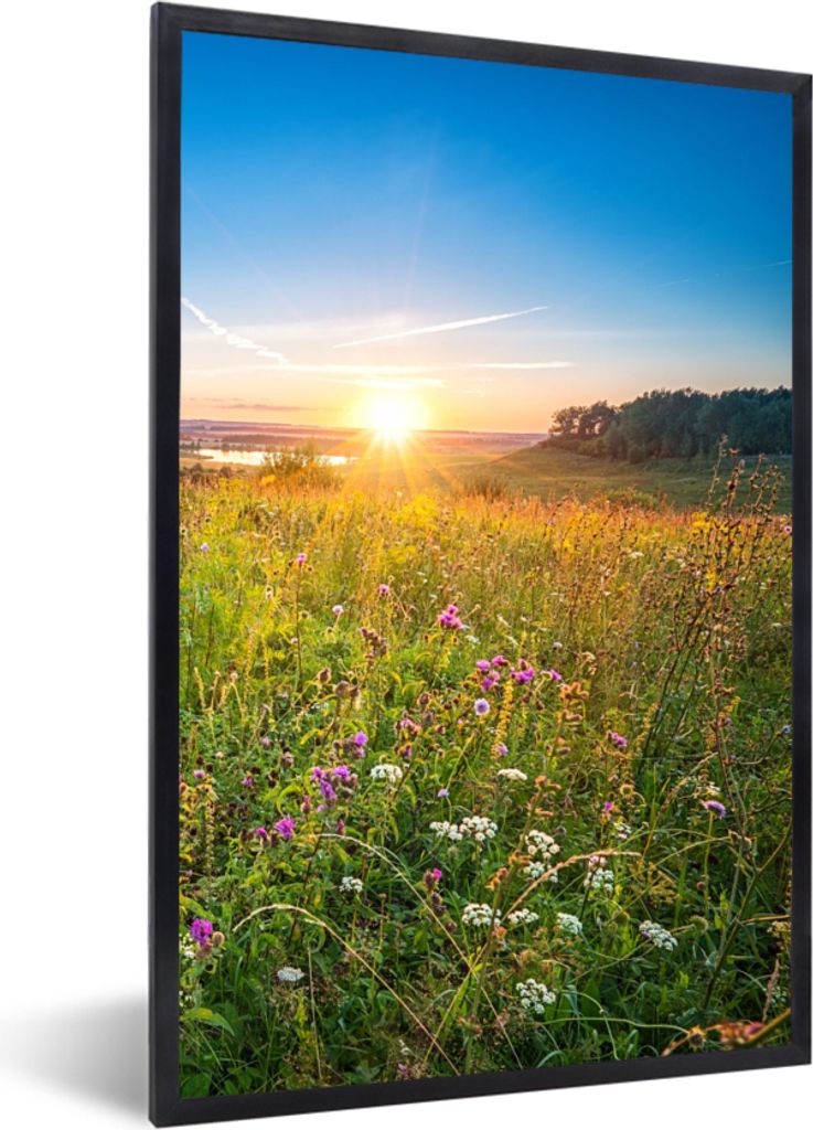 MuchoWow Gerahmtes Poster Sonne - Gras - Blumen 60x90 cm - Poster mit Schwarzem Bilderrahmen Wandposter Rahmen Foto Bilder - Kunst
