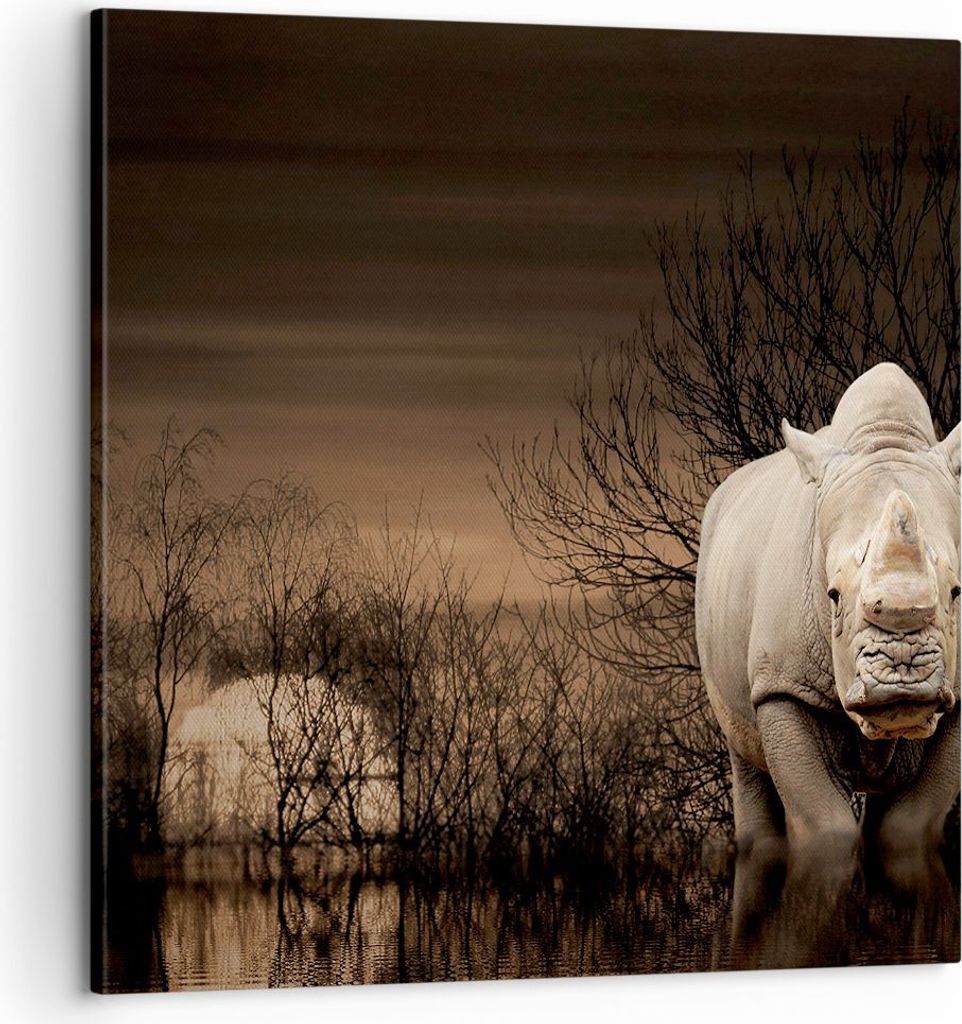 Bild auf Leinwand - Leinwandbild - Tier Nashörner Insekten - 60x60cm - Wand Bild - Wanddeko - Leinwanddruck - Bilder - Kunstdruck - Wanddekoration...