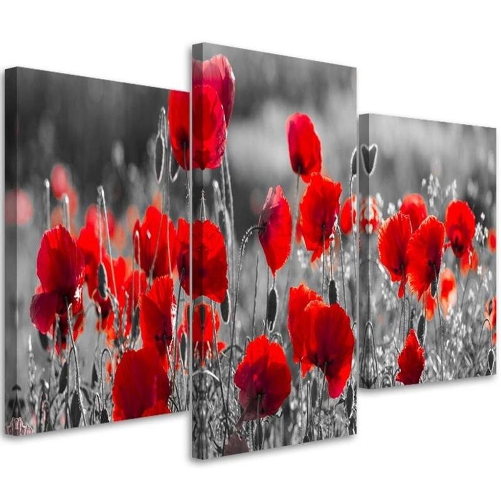 Triptychon auf leinwand rote mohnblumen auf einer schwarz-weißen wiese 90x60 cm Feeby rot wandbild bereit zum aufhängen