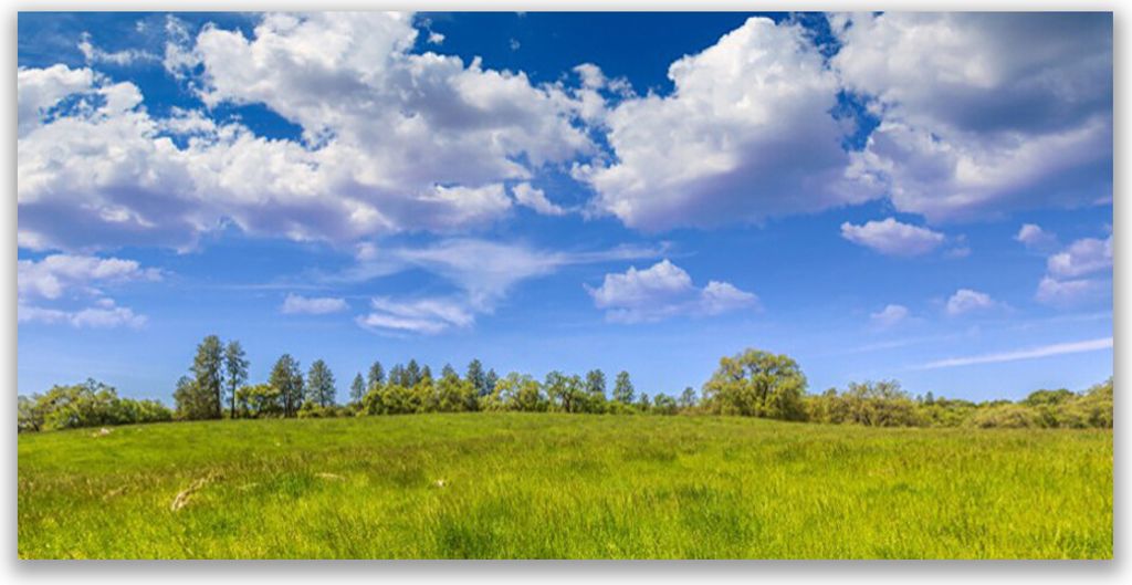 Tulup Leinwand-Bilder 120x60 Wandbild Canvas Kunstdruck Wiese Gras Landschaft