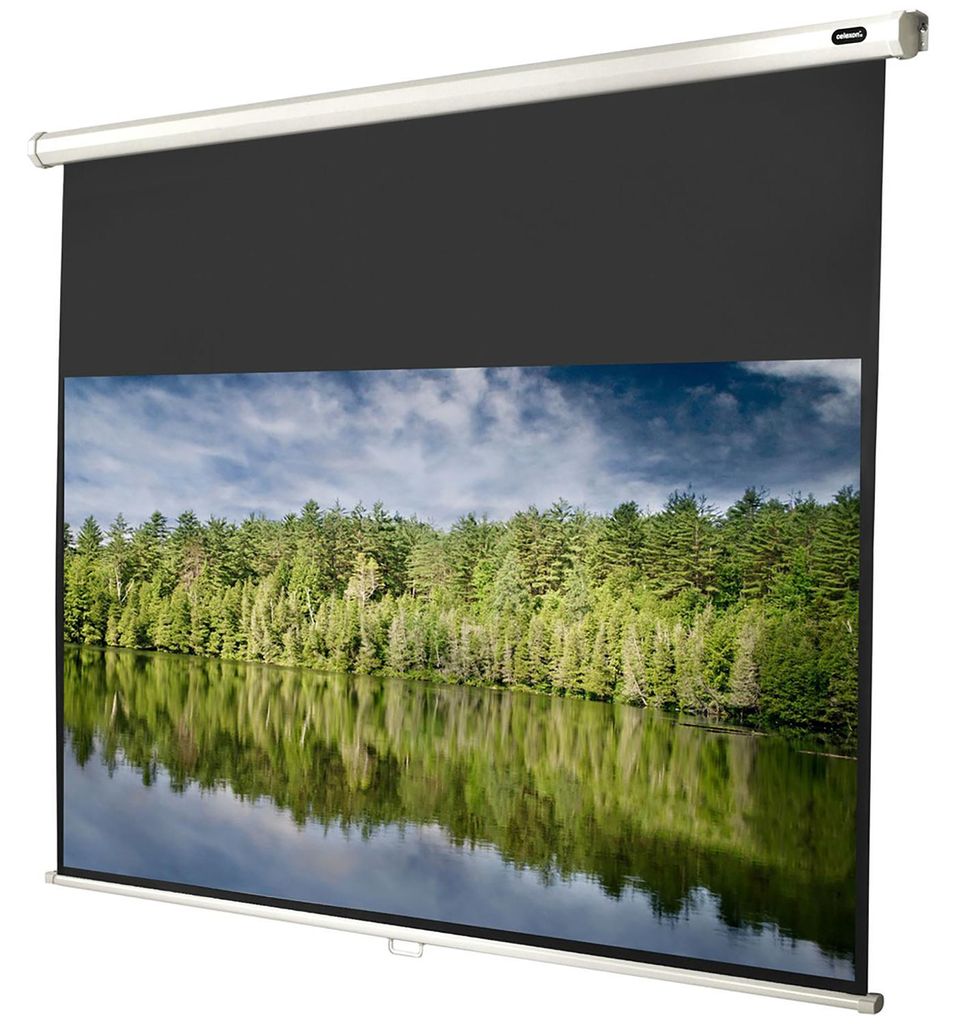 Celexon 1090251, 16:9, Schwarz, Weiß Produktbild 