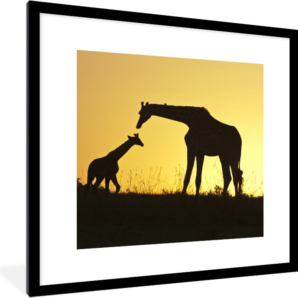 MuchoWow Gerahmtes Poster Giraffe - Scherenschnitt - Kalb 40x40 cm - Poster mit Schwarzem Bilderrahmen Wandposter Rahmen Foto Bilder - Poster - P...