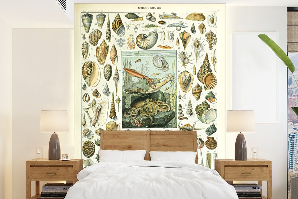 MuchoWow Fototapete für Wohnzimmer oder Schlafzimmer Wandtapete Vinyl Motivtapete Meerestiere - Muschel - Vintage - Meer - Adolphe Millot - 195x...