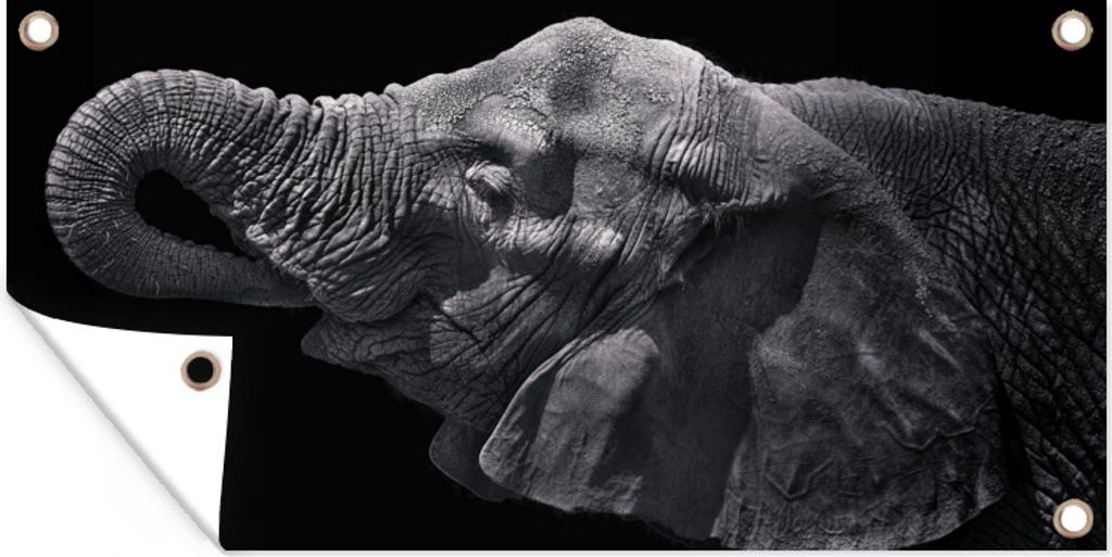 MuchoWow 80x40 cm Outdoor-Poster Gartendeko Sichtschutz Garten Poster für den Garten Elefant mit Rüssel im Mund in schwarz-weiß