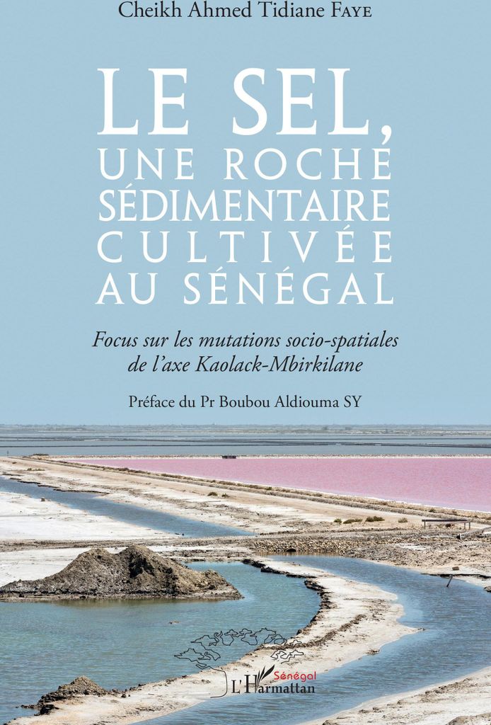 Salz, ein im Senegal abgebautes Sedimentgestein