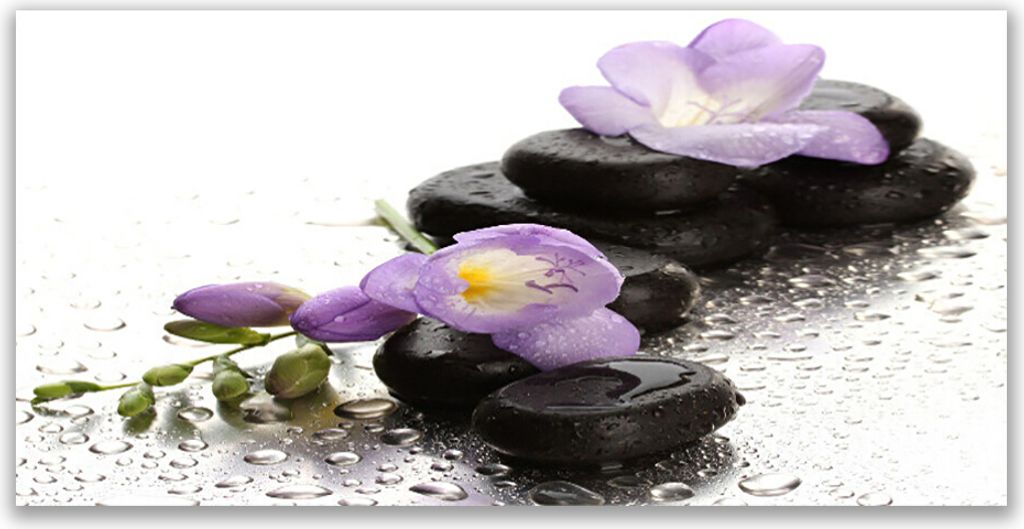 Glasbilder 120x60 Wandbild Druck auf Glas Blumen Steine Kunst