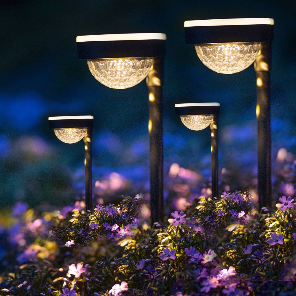 Four solar garden lights illuminating a bed of purple flowers at dusk.