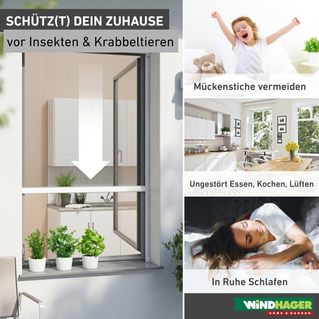 BASIC Rollofenster Alu