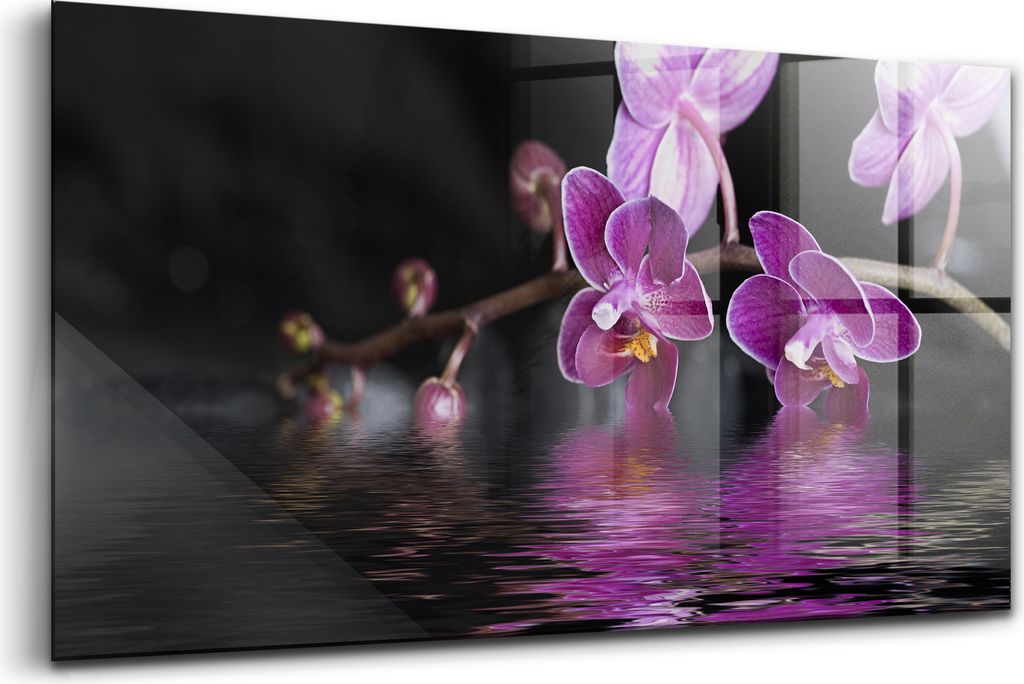 120x60 - Wandmalerei auf Glas- Wanddekoration aus Glas - Rosa Orchideenblüte auf Wasser