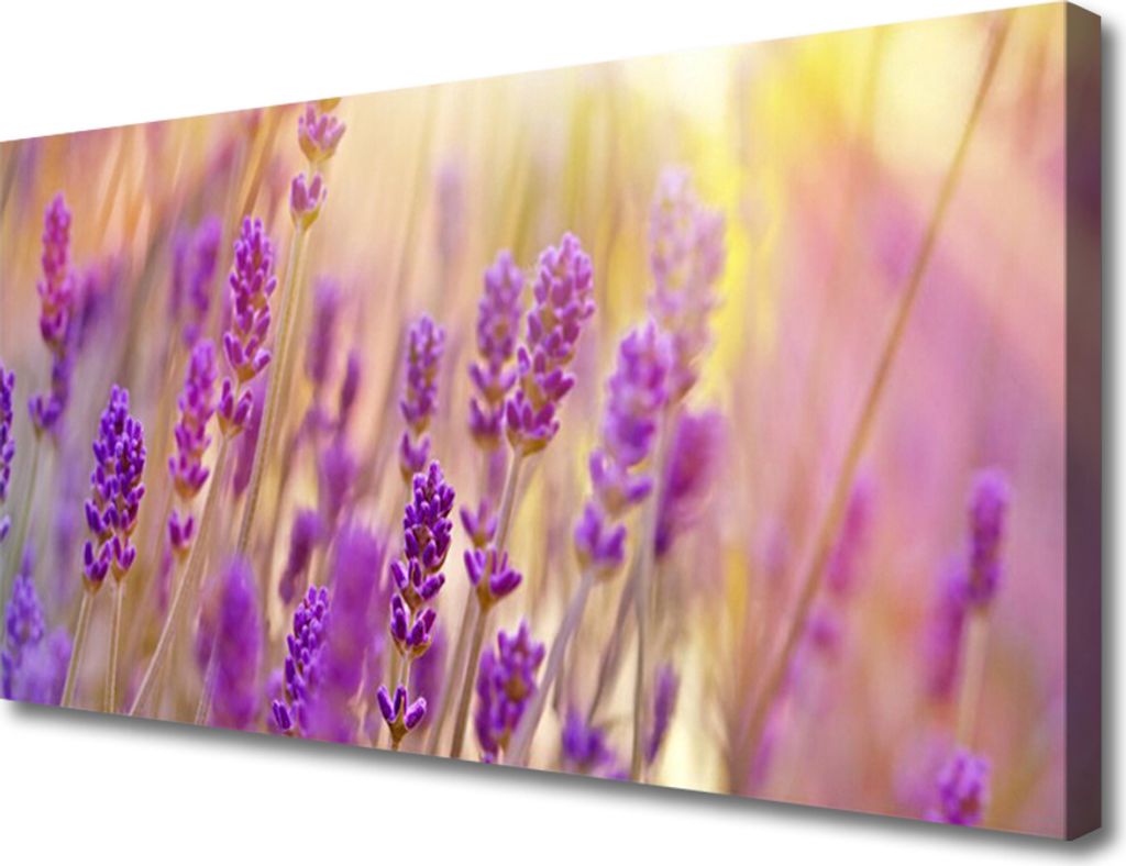 Tulup Leinwand-Bilder 100x50 Wandbild Canvas Kunstdruck Blumen Pflanzen