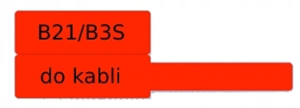 Ordina i Tuoi Cavi con NIIMBOT B21 B3S: Etichette 25x38mm - 100pz
