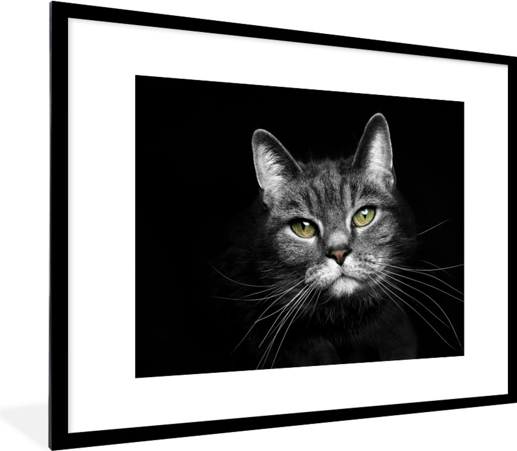 MuchoWow® Gerahmtes Poster Haustiere - Katze - Tiere - Produktbild 