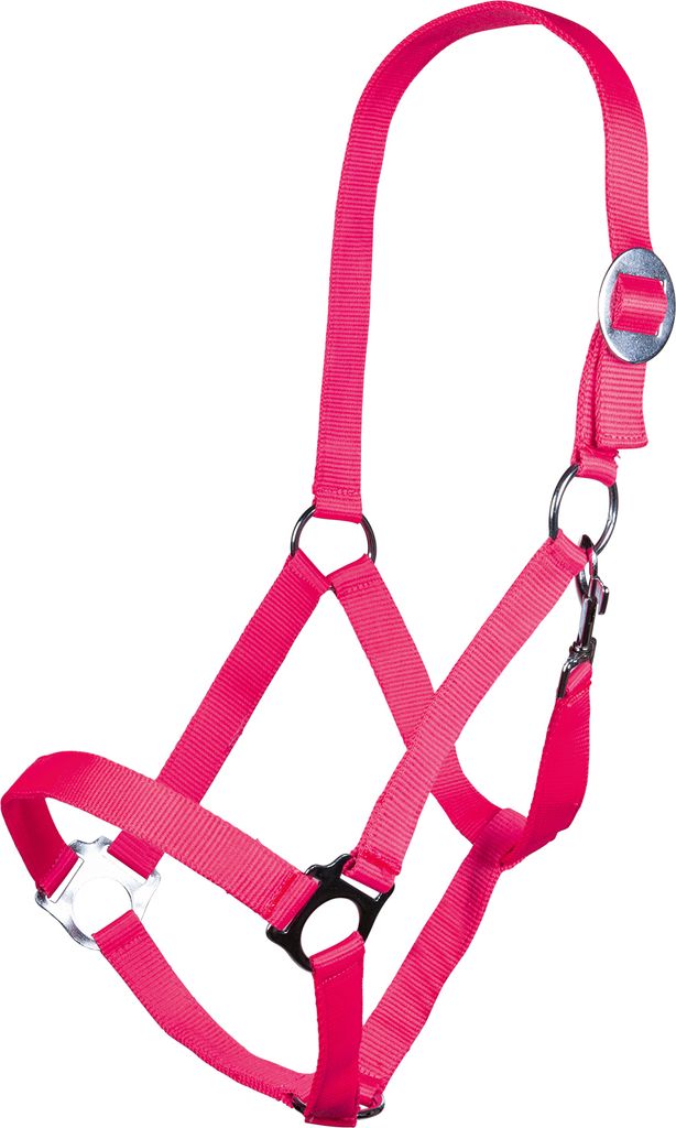 HKM Halfter -Stars Economy Softice-, Farbe:8045 Neon pink, Größe:Pony