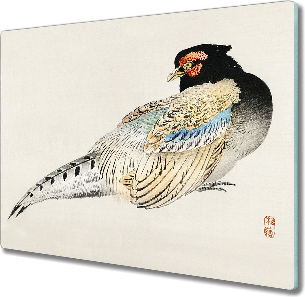 Coloray Schneidebrett Herdabdeckplatte 60x52 cm Kochplattenabdeckung Küchenbrett Hackbrett - Tier Vogel