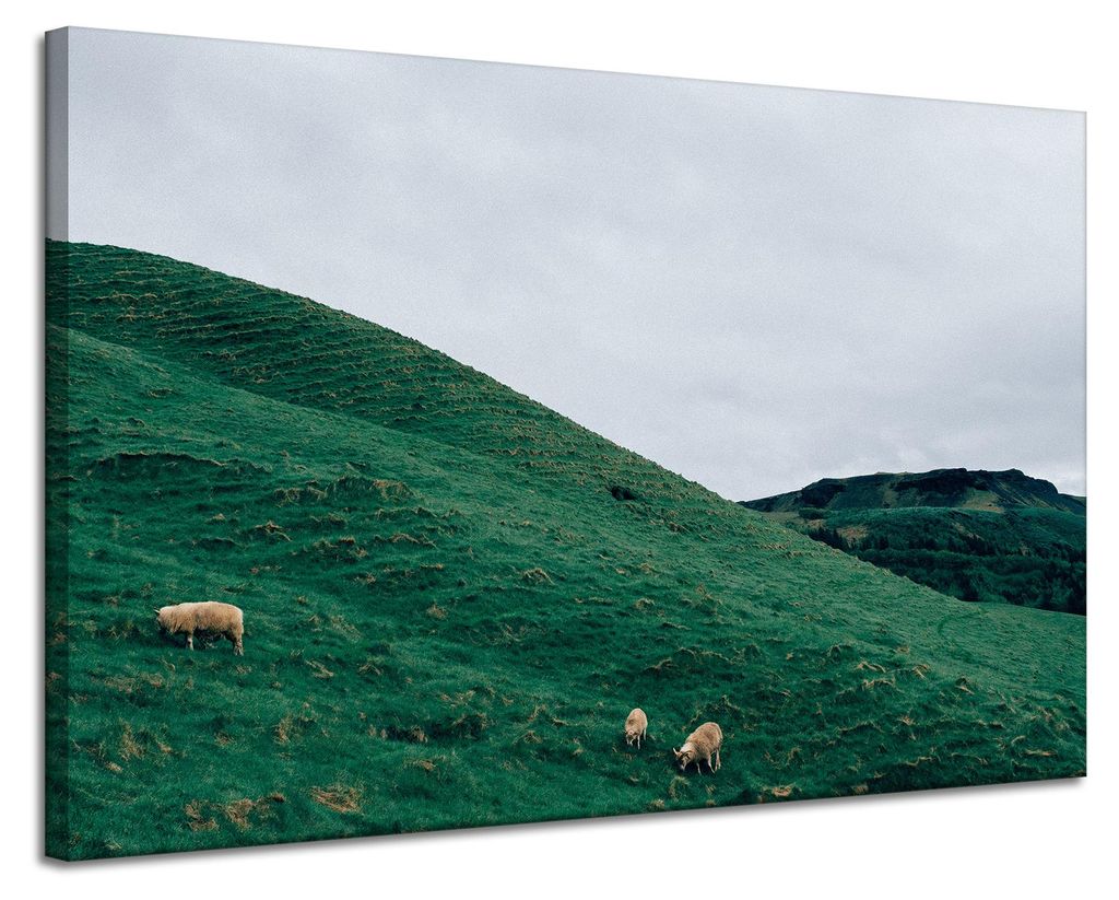 Leinwanddruck Naturweide in den Bergen 120x80