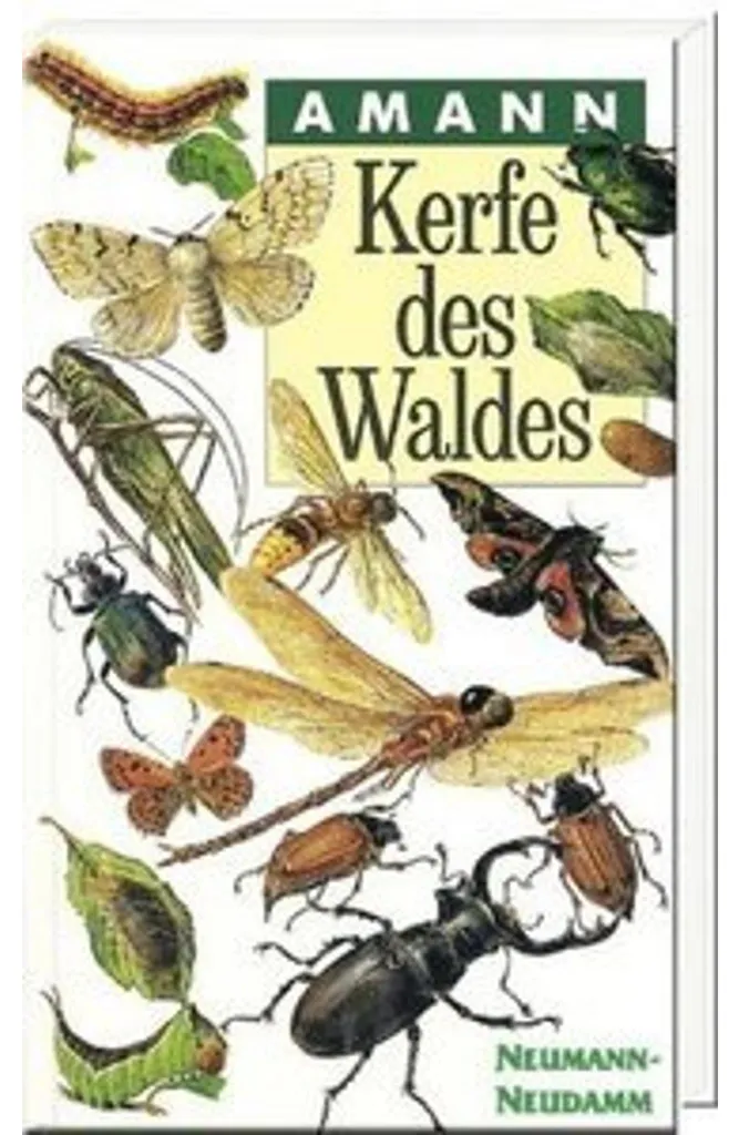 Kerfe des Waldes - Sculpture Cerf en Bois Naturel pour Déco Intérieure