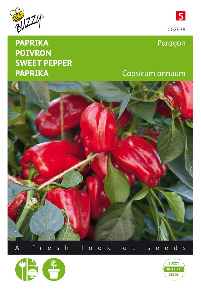 Paprika Patio Paragon | Paprikasamen von Buzzy Seeds