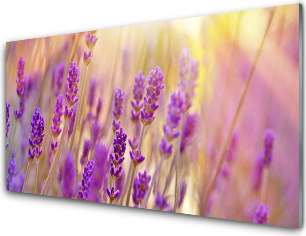 Acrylglasbilder 100x50 Wandbild Druck Blumen Pflanzen
