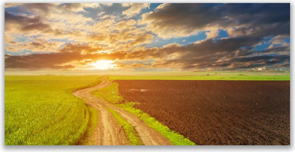 Tulup Leinwand-Bilder 120x60 Wandbild Canvas Kunstdruck Acker Fußpfad Landschaft