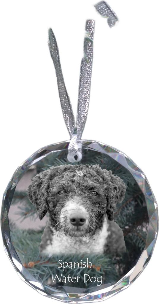 Spanischer Wasserhund, Andalusischer Türke, Türkenhund - Kristallkugel mit Foto, Hundebild im Kristall, personalisierter Christbaumschmuck von Ar...