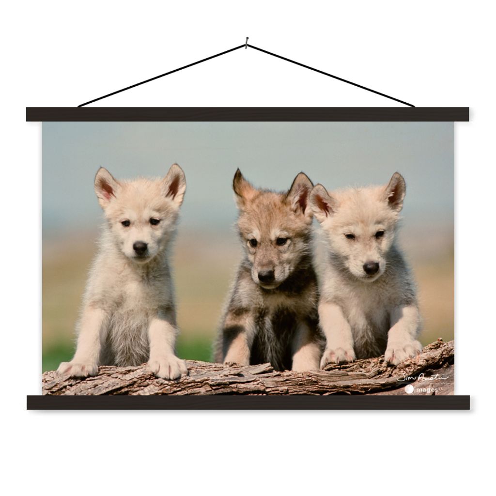MuchoWow Textilposter Wolf - Kind - Holz 90x60 cm mit schwarzem Rahmen - Aufhängungssatz
