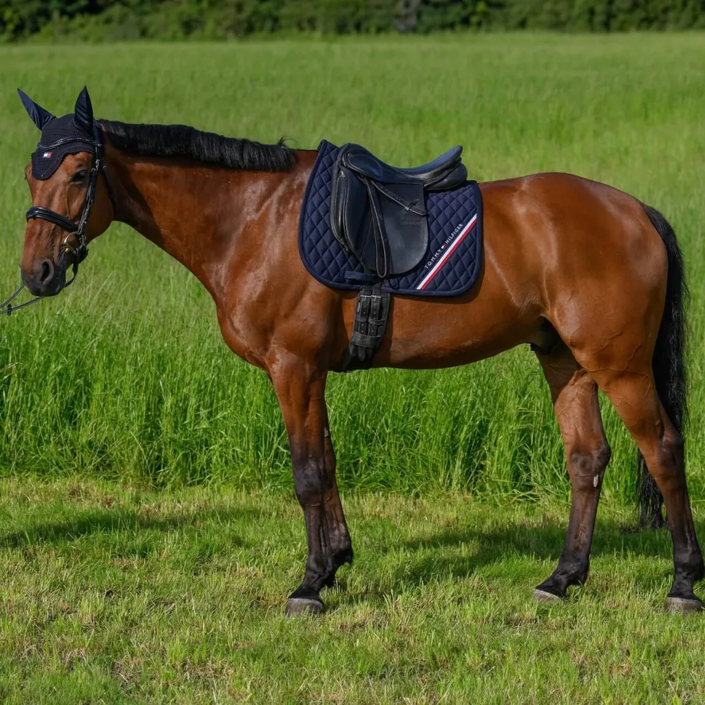 Cuscinetto Dressage Stanford Tommy Hilfiger - Il Top di Gamma - 7