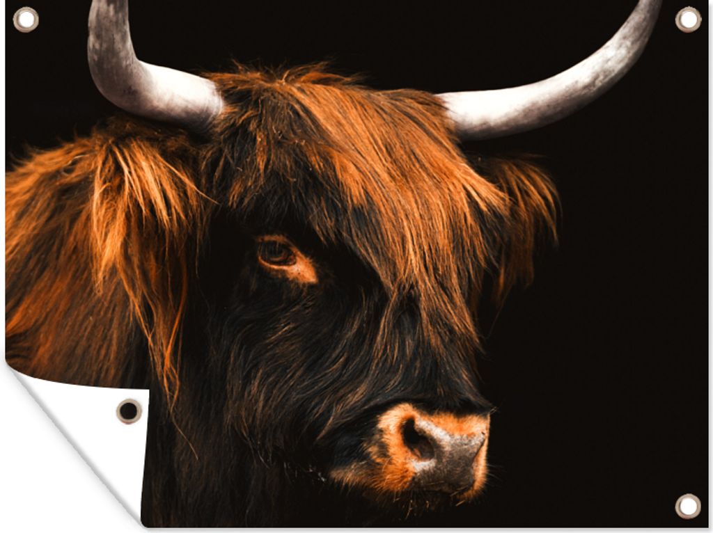 MuchoWow 120x90 cm Outdoor-Poster Gartendeko Sichtschutz Garten Poster für den Garten Schottischer Highlander - Fell - Schwarz