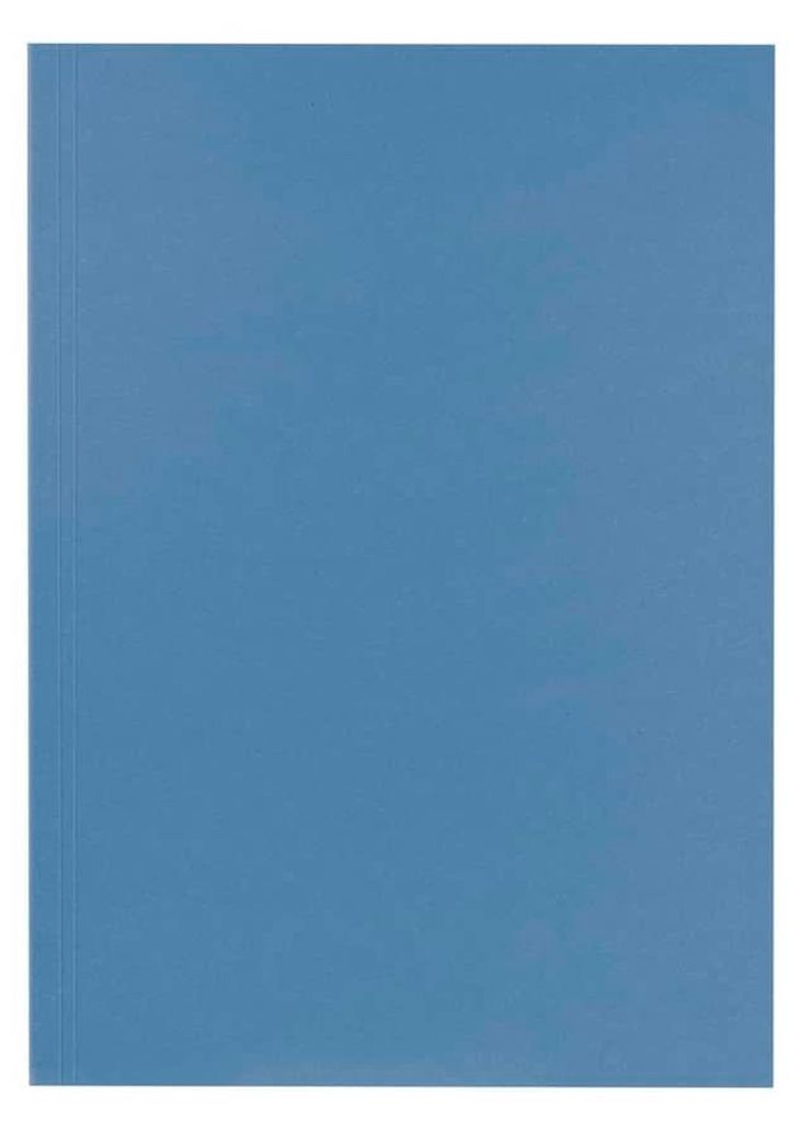 FALKEN 80004120 100er Aktendeckel DIN A4 blau Zdjęcie produktu 
