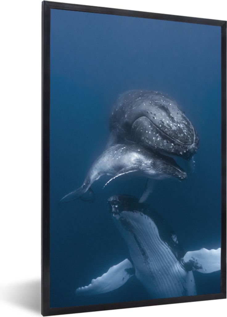 MuchoWow MuchoWow Gerahmtes Poster Wale - Meer - Familie 20x30 cm - Poster mit zchwarzem Bilderrahmen - Drucken - Bilder Poster im Rahmen