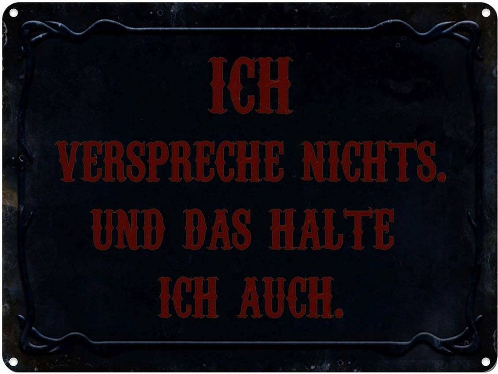vianmo Blechschild 30x40 cm verspreche nichts das halte auch Spruch Zitat