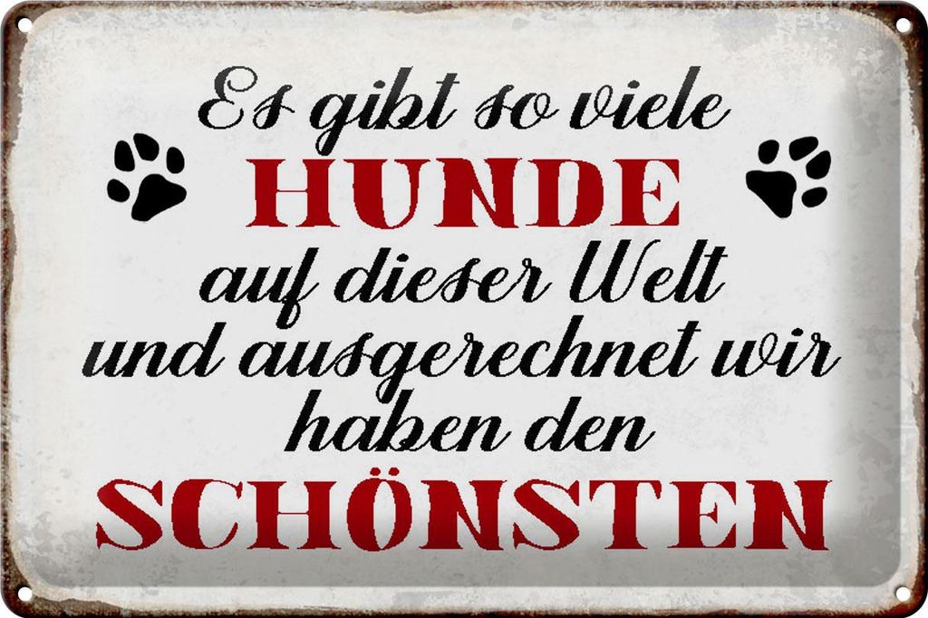 Blechschild Spruch 30x20cm es gibt so viele Hunde Schild Produktbild 