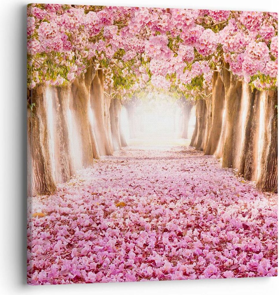 Bild auf Leinwand - Leinwandbild - Baum Blumen Kirsche Natur - 40x40cm - Wand Bild - Wanddeko - Leinwanddruck - Bilder - Kunstdruck - Wanddekoratio...
