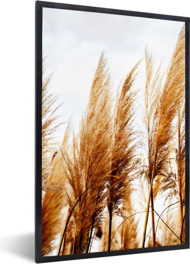 MuchoWow Gerahmtes Poster Pampasgras - Sonne - Gras 40x60 cm - Poster mit Schwarzem Bilderrahmen Wandposter Rahmen Foto Bilder - Papierdruck - Wa...