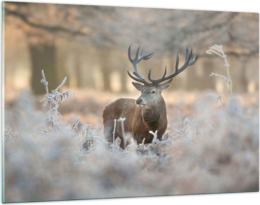 Bilder auf glas - Hirsch Wald Natur - 120x80cm - Glasbilder - Wandbilder - Kunstdruck - zum Aufhängen bereit - Wanddekoration aus Glas - Glas Bild...
