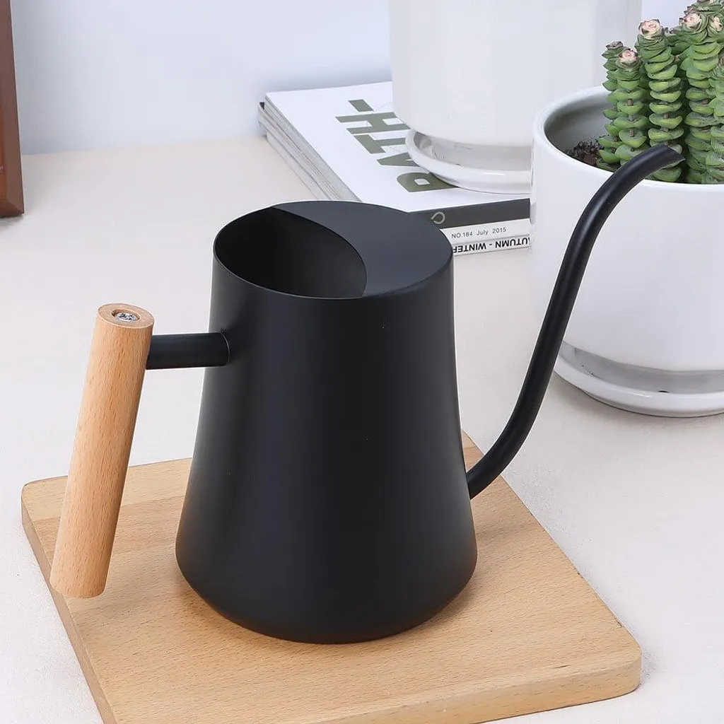 Arrosoir noir 1000ml en acier inoxydable avec long bec de précision