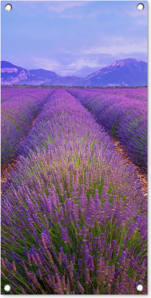 MuchoWow 40x80 cm Outdoor-Poster Gartendeko Sichtschutz Garten Poster für den Garten Reihen von Lavendel vor Bergen
