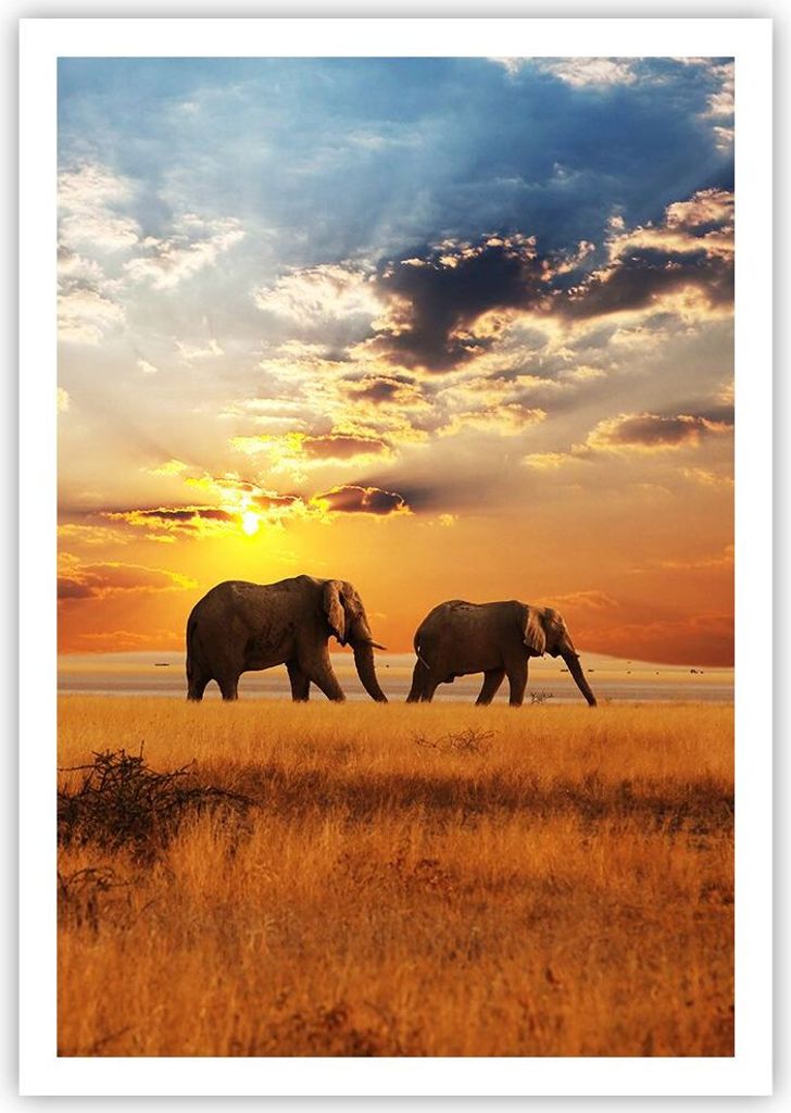 Poster - Poster ohne Rahmen - Elefanten Safari Dschungel Busch - 70x100 cm - Wand Bild - Wanddeko - Wandbilder - Kunstposter - Wandposter - Bilder ...
