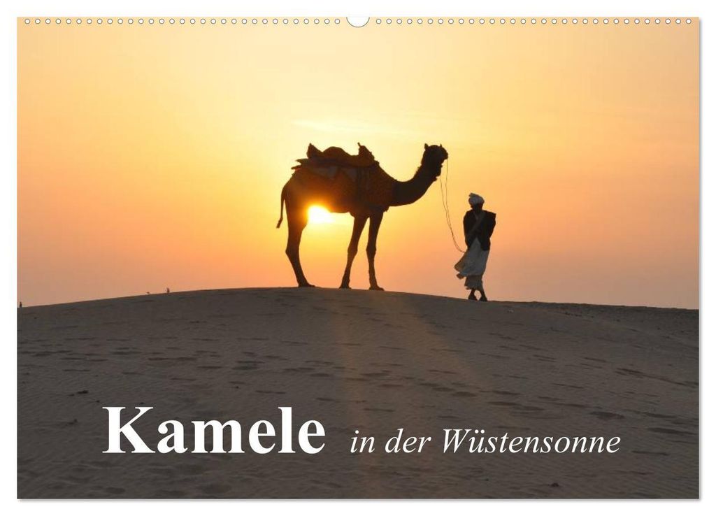 Kamele in der Wüstensonne (Wandkalender 2027 DIN A2 quer), CALVENDO Monatskalender